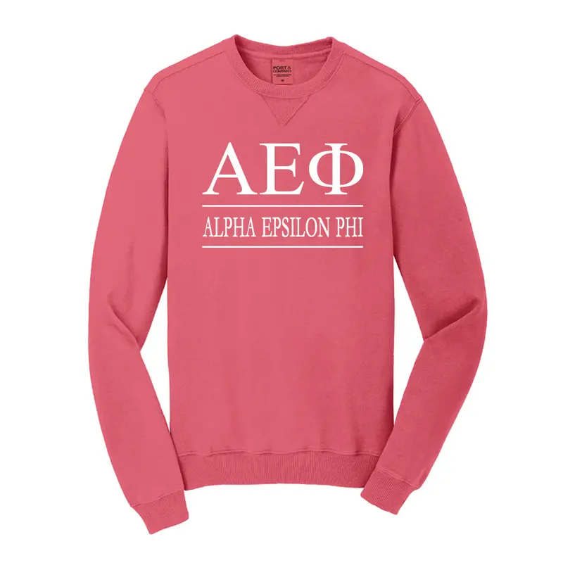 Alpha Epsilon Phi Vintage Color Crewneck Sweatshirt 5