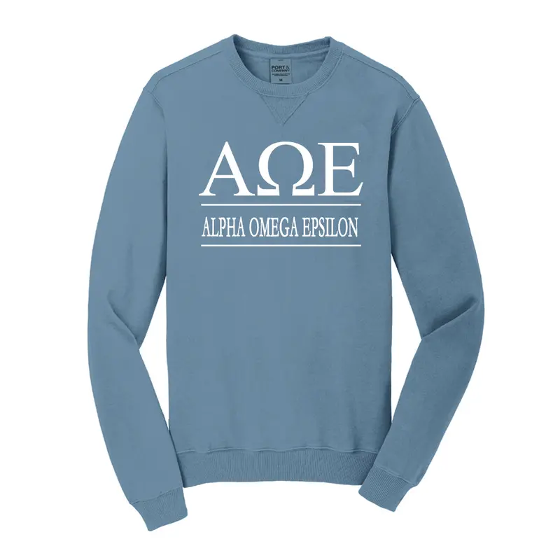 Alpha Omega Epsilon Vintage Color Crewneck Sweatshirt 1