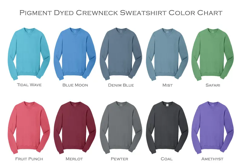 Alpha Omega Epsilon Vintage Color Crewneck Sweatshirt 2