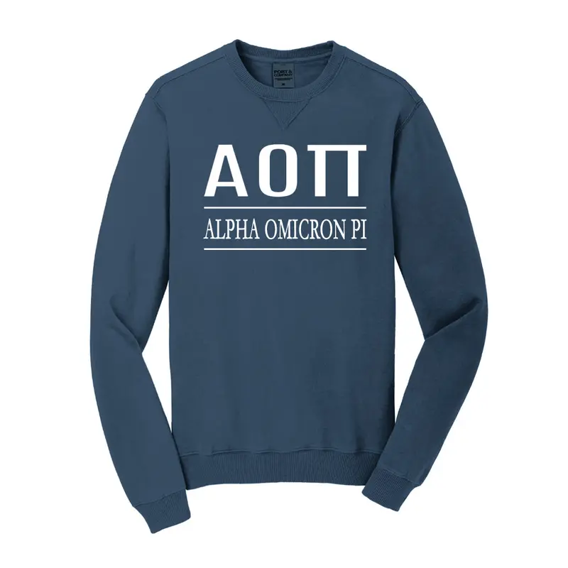 Alpha Omicron Pi Vintage Color Crewneck Sweatshirt 6