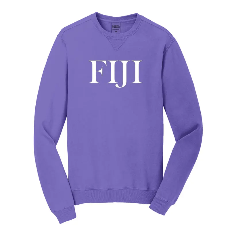 Phi Gamma Delta Beach Washed Crewneck Sweatshirt 1