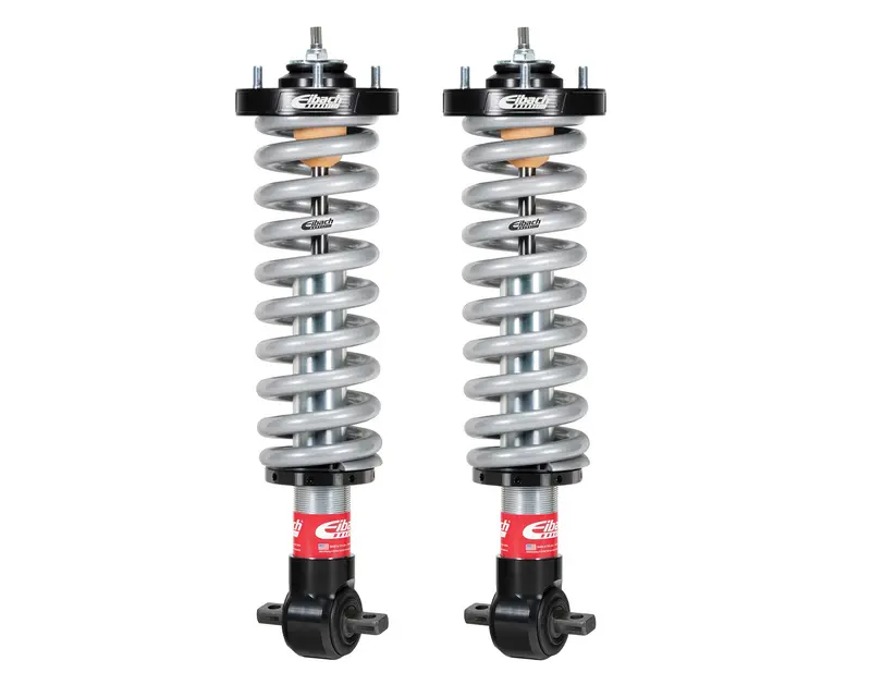 Eibach E86-23-032-01-20 Coilover Spring And Shock Assembly 1